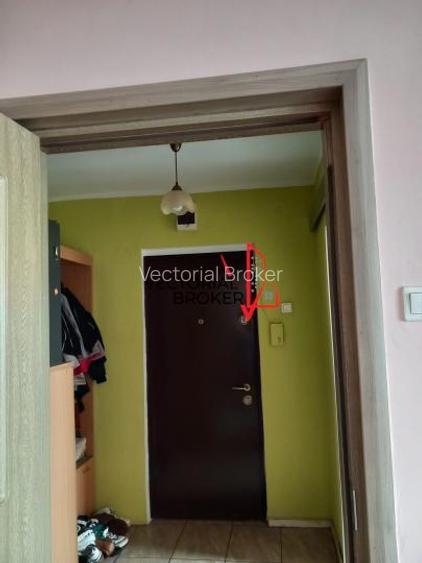Apartament 2 camere Baba Novac Rucar - 6