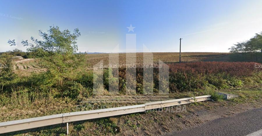 Teren extravilan | Agricol | 15000 mp | 40ml deschidere | Aurel Vlaicu - 3