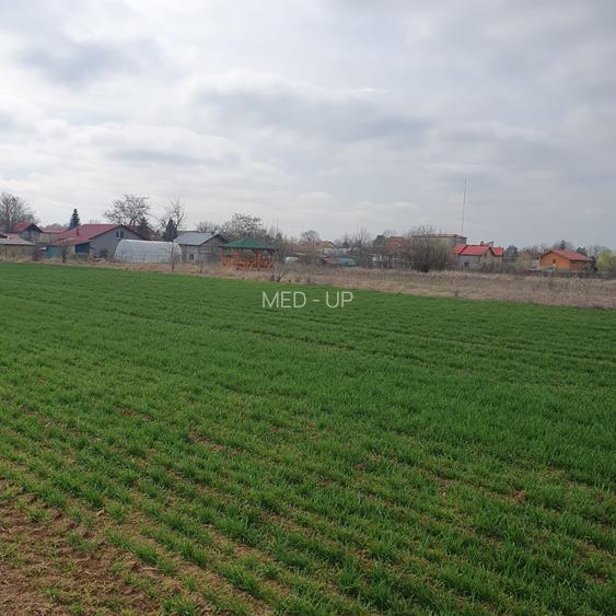 Tâncăbești -Ilfov suprafață 4500 mp - 4