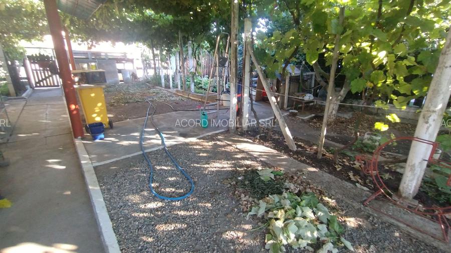 Casă, gradină, teren mare - Palazu Mare - 6