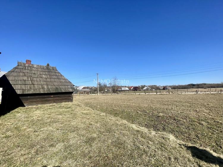 CASA RENOVATA + TEREN 3100 MP | CURTE SI GRADINA | FRATAUTII NOI - 24