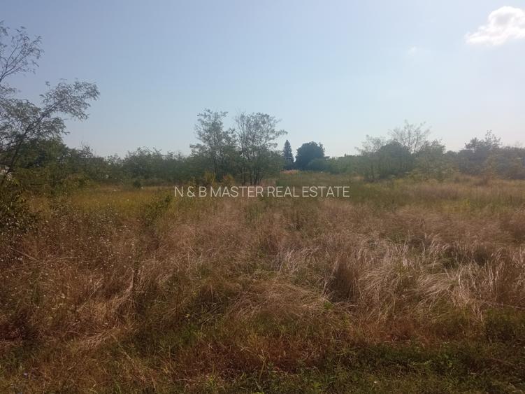 Teren 100Omp, Clinceni, Str Rozelor - 7