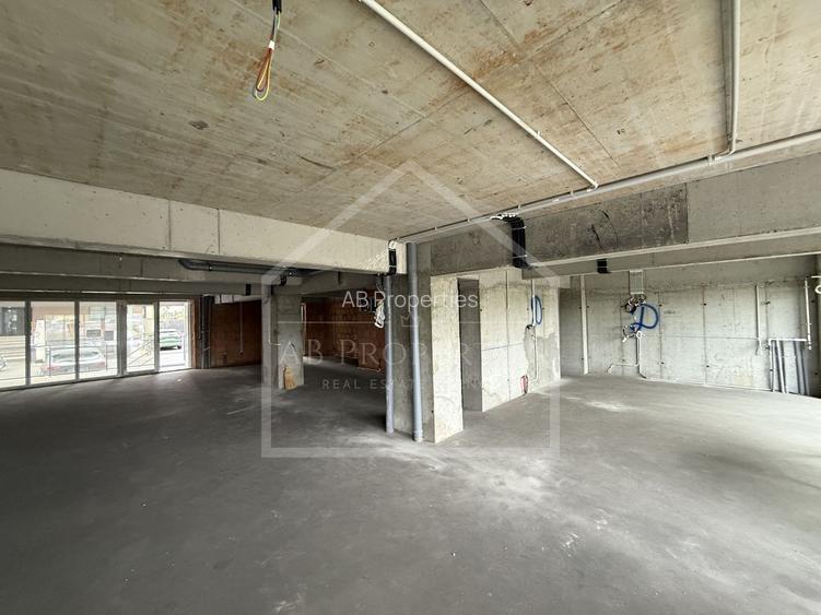 Spatiu Comecial 155 MP UTILI - 8