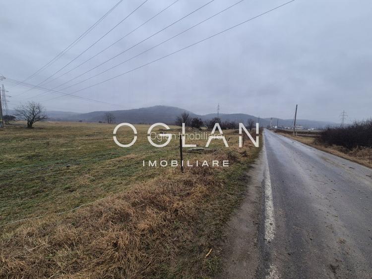 Teren extravilan 11.300 mp, front 39 m, Selimbar - 4