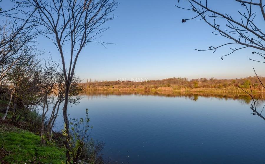 Vila superba – Smart Home pe malul lacului Buftea | 25 min de București - 6