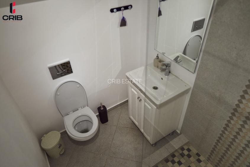 Casa de vacanta sau afacere in turism?Ambele variante in Delta Dunarii - 12