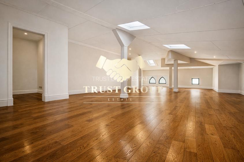   Casa Individuala  Gradina Icoanei -253mp curte libera - Oportunitate - 7