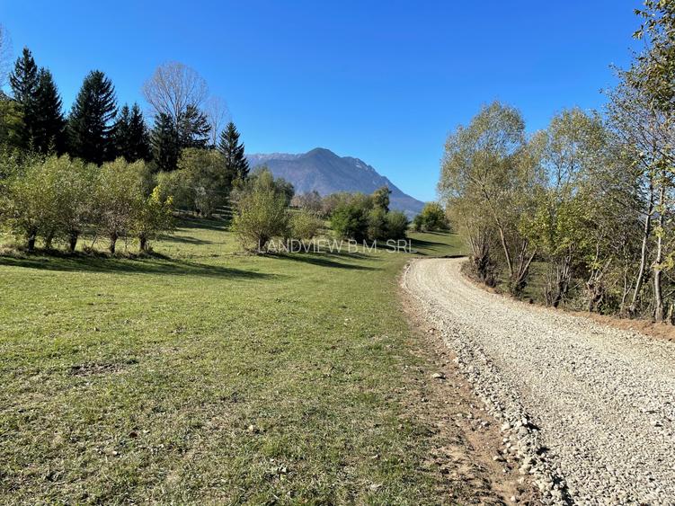 Teren intravilan zona Bran-Tohanita,judetul Brasov loturi intre 500 si 1000 m - 2