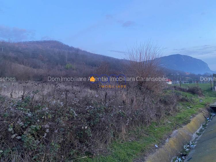 Teren intravilan 4836 mp Mehadia cu Fs la E70 - 7