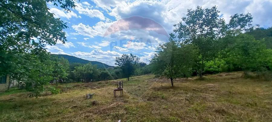 Teren Intravilan de vanzare 3551mp Poiana Copaceni Com Gura Vitioarei - 22