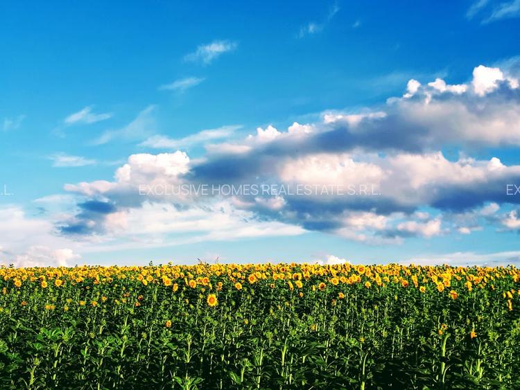 Vanzare vila Corbeanca - 27