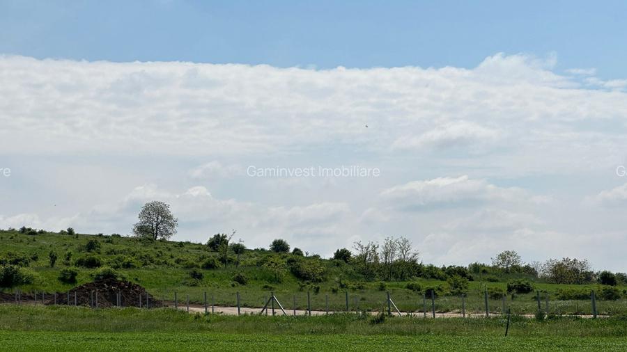Teren Extravilan de Vanzare, zona Episcopia, Oradea, judetul Bihor - 3