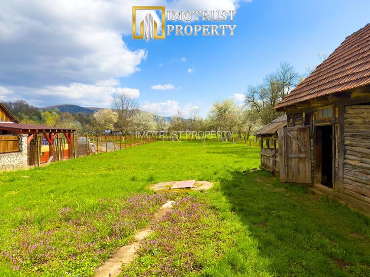 Colț de natură: casă + teren mare în Săvârșin - 7