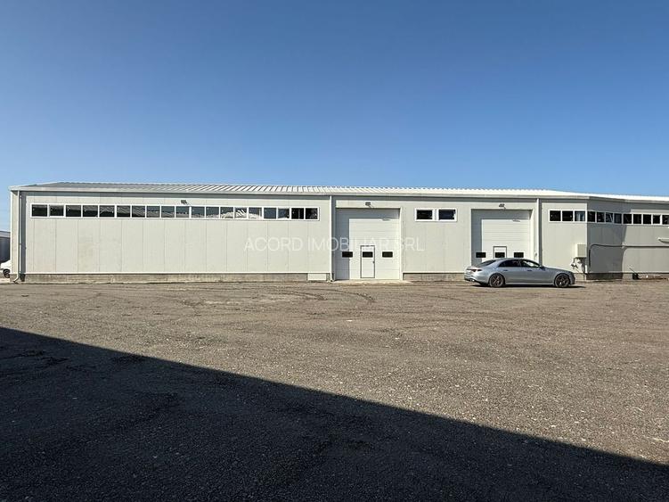Zona industriala Hala Noua,ideala depozitare zona logistica. - 5