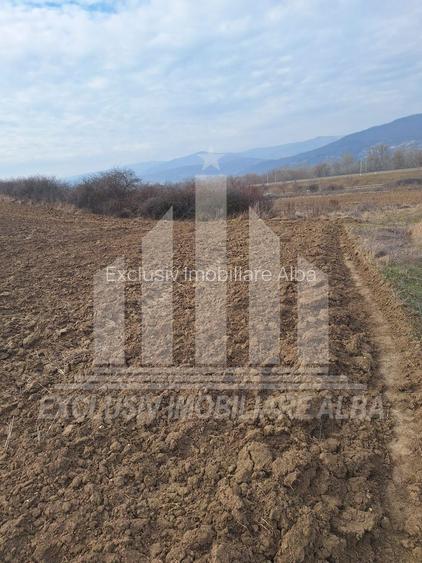 Teren extravilan | Agricol | 15800 mp | 45 ml deschidere | Salistea - 3