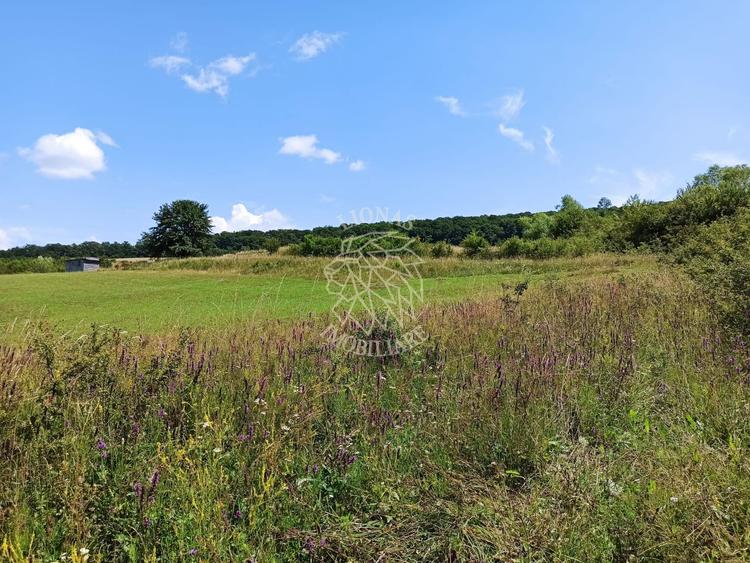 Parcele teren 4038 mp - Parcelabil - Zona Valea Stanelor