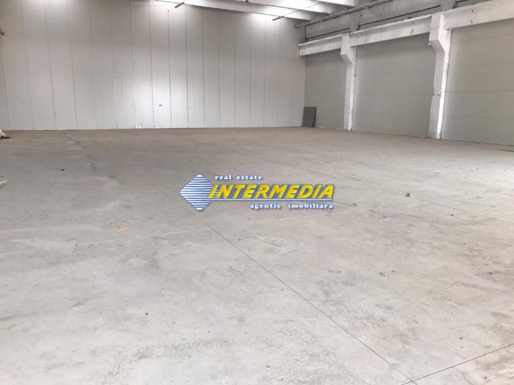 Hale Productie Depozitare Alba Su. de la 1725 mp. - 4000 mp. finisata complet