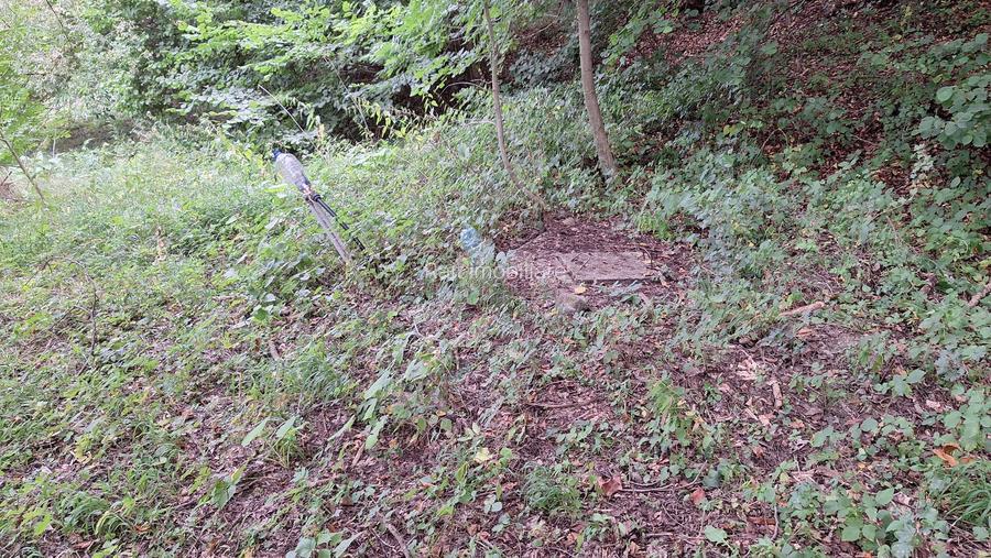 VANZARE ANSAMBLU CASUTE BRADULET ARGES - 17