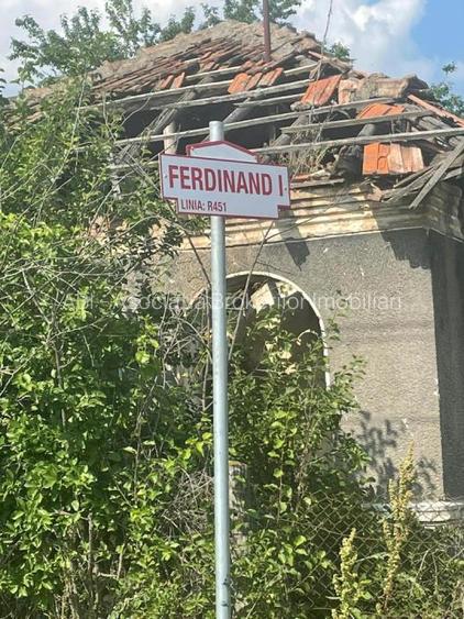 Vanzare teren intravilan Cernica_Tânganu, lot 954mp - 11