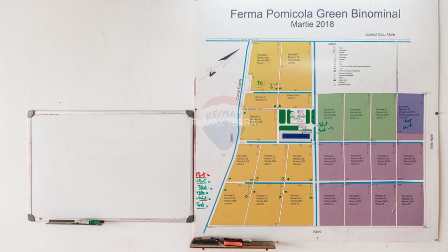 BUSINESS DE VANZARE Plantatie de afin din Romania - 17