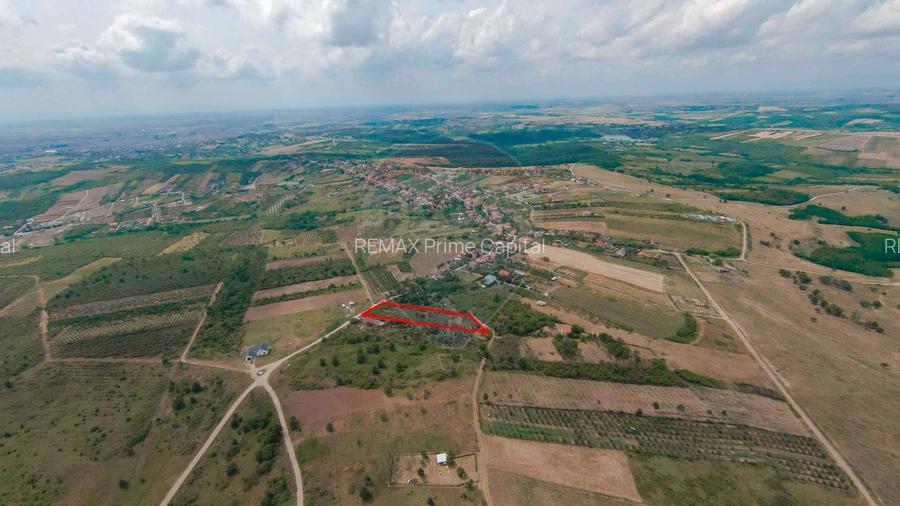 De vânzare Teren 3995mp intravilan Săldabagiu de Munte - 4