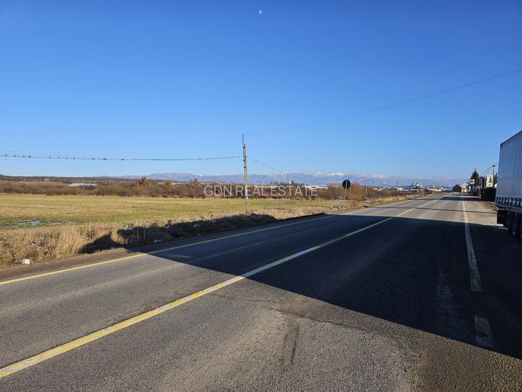 Teren extravilan - constructii, suprafata 49.933 mp, drumul E79, Beius - 5