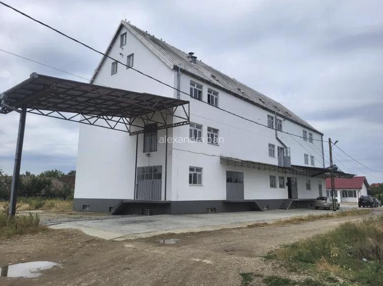 Moară cereale 50 t/zi + afacere funcțională | teren + hale | Bihor - 2