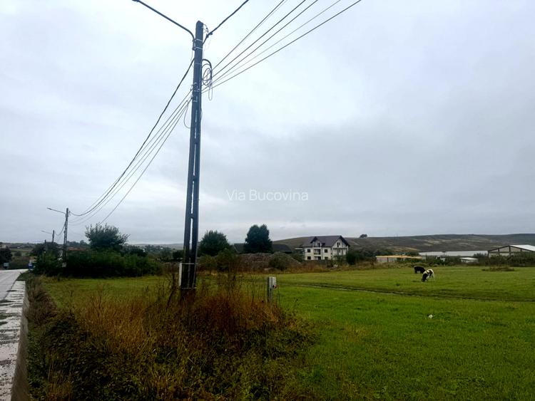 Vanzare 10.000 mp teren Liteni Suceava- la strada -potrivit proiect fonduri - 13