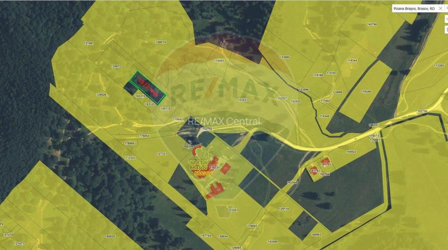 Teren Poiana Brasov, langa Stana turistica 1872mp, PUZ case/ pensiuni - 10