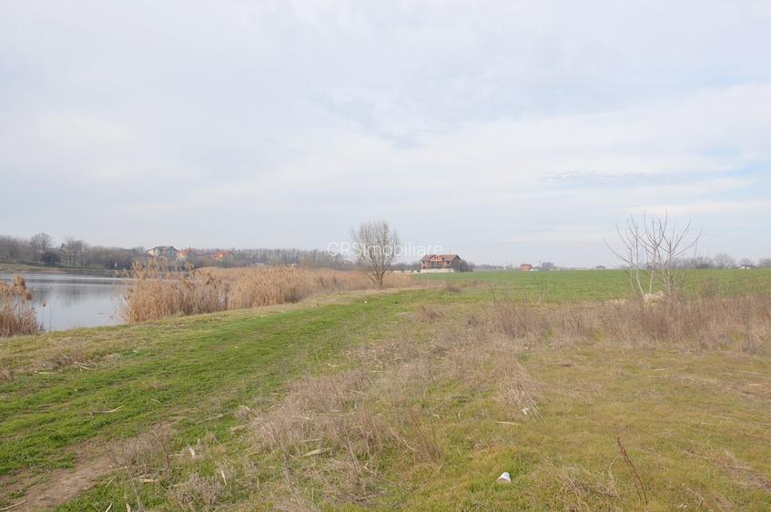 Loturi Teren Frumusani - Lac Pasarea | Localizare Extraordinara - 7