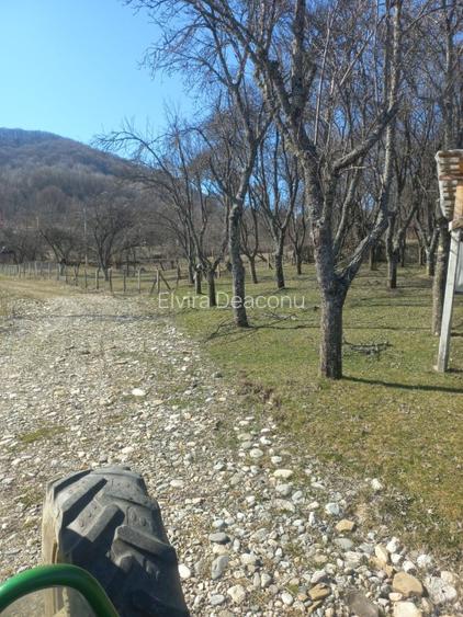 Vind teren intravilan in com .Corbi  sat Poinarei  jud.Arges, - 8