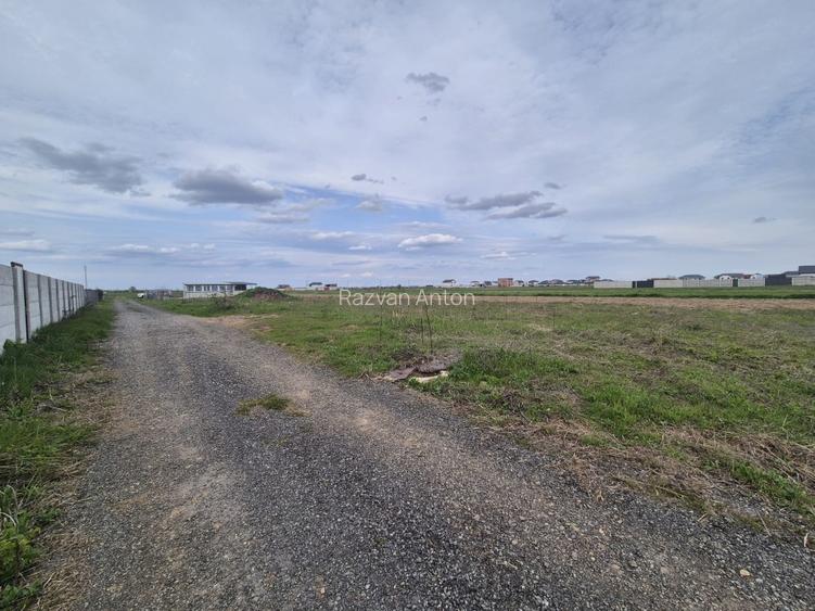 Teren intravilan construibil – 1.070 mp – Dragomirești-Vale, Str. Mahonului - 2