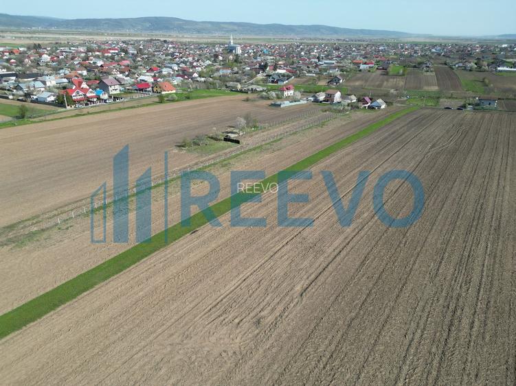 Teren de vânzare, Com. Nicolae Bălcescu, Jud. Bacău - 10