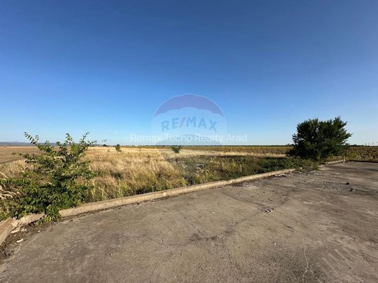 Teren extravilan de vanzare - 19.963 mp, E68 Mandruloc-Vladimirescu - 6