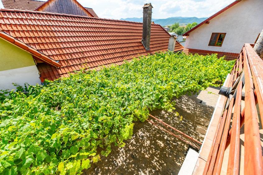 Casa + Pensiune deosebita - Orlat, Sibiu - 38