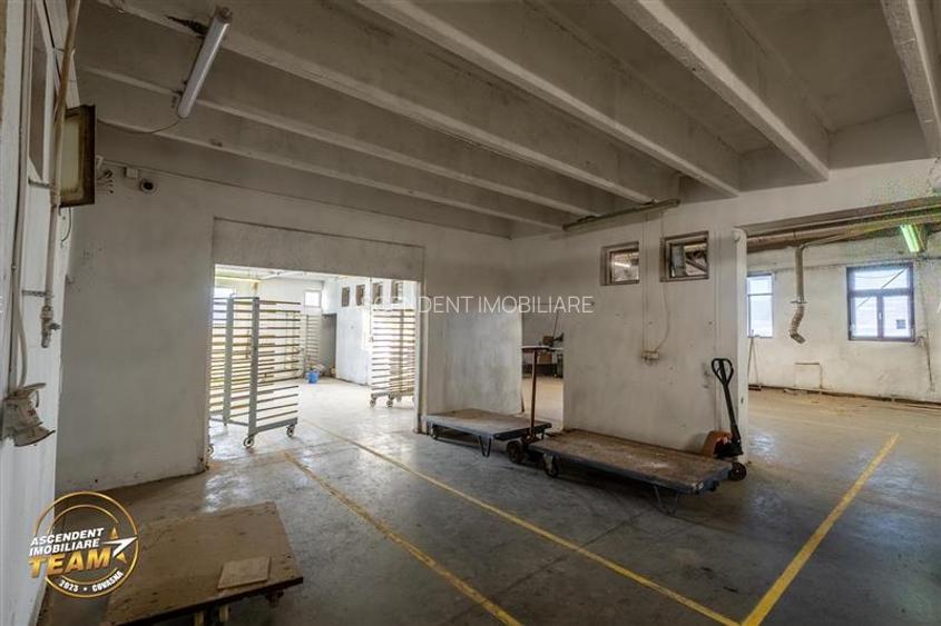 Complex industrial modern, acces dublu, potential apreciabil, Valea Crisului, Sf - 6
