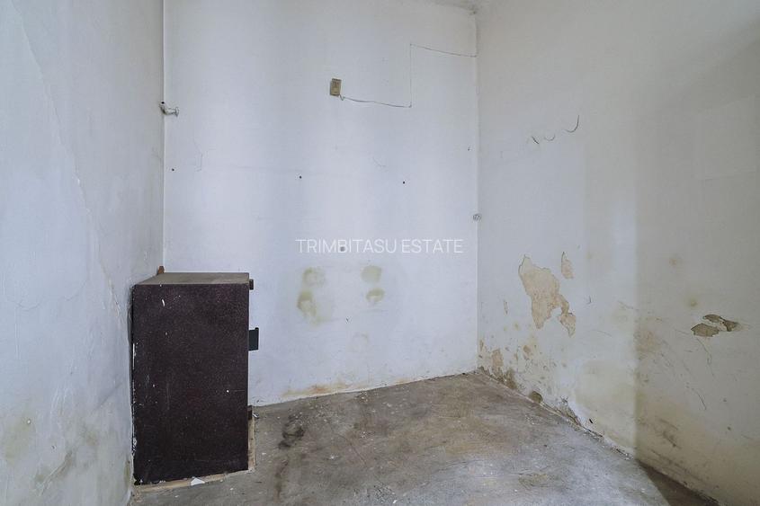 PIATA ROMANA - Calea Dorobanti, ASE | Vila - Spatiu Comercial - 28