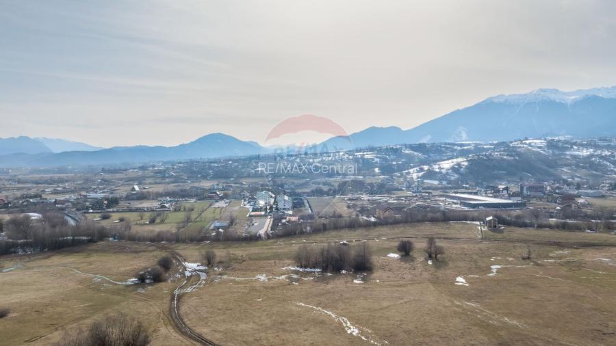 Teren Tohanul Nou 4500mp, in spate Wolf - 6