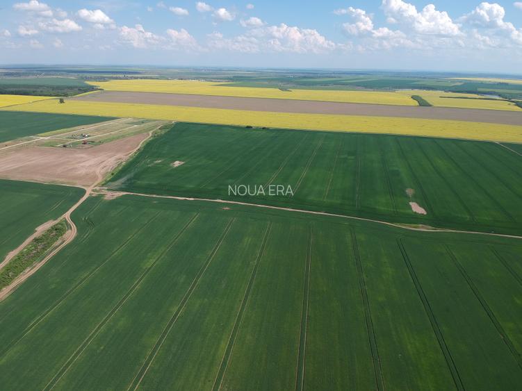 🌿Retras-Teren intravilan 4750 mp cu PUZ aprobat | 15 km A0 | POT 60% | CUT 1.8 - 3