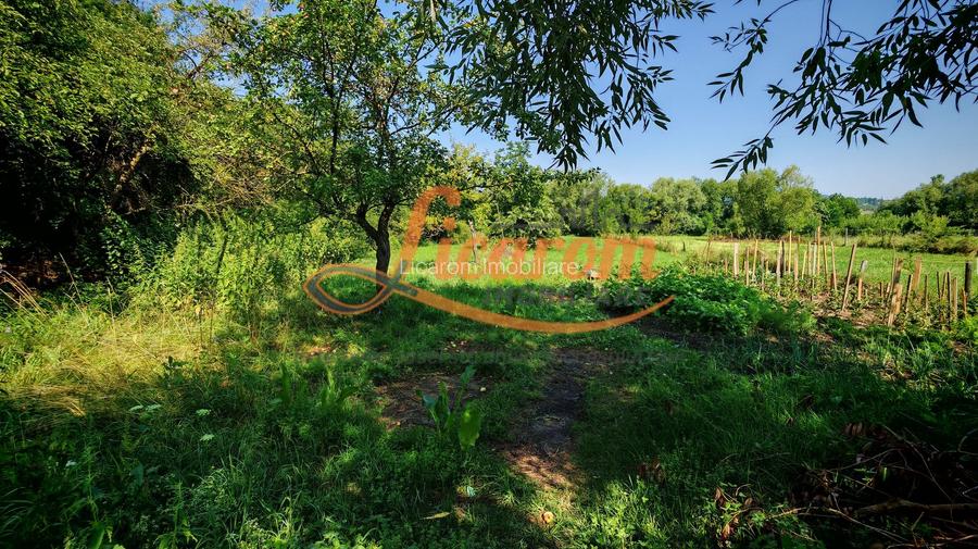 CASA SASEASCA comuna VULCAN,zona foarte buna,teren 3000 mp - 23