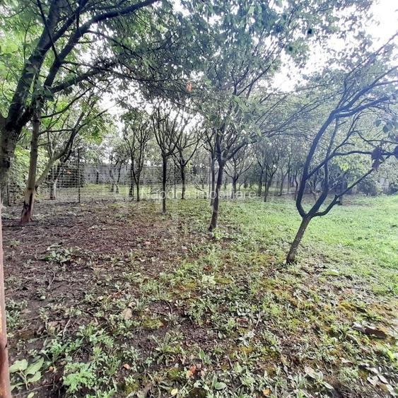 Spatiu comercial de vanzare in Livada de Bihor - 10