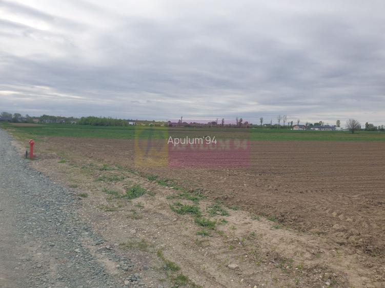 Teren ideal dezvoltare imobiliară în Măgurele strada Atmosferei - 5