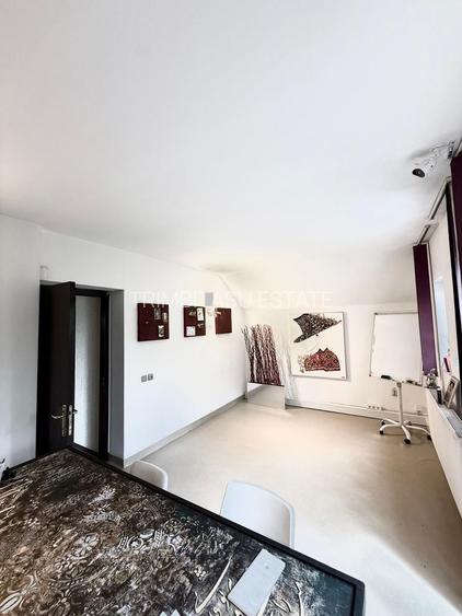 Vila/Spatiu comercial Bd Pipera - 19