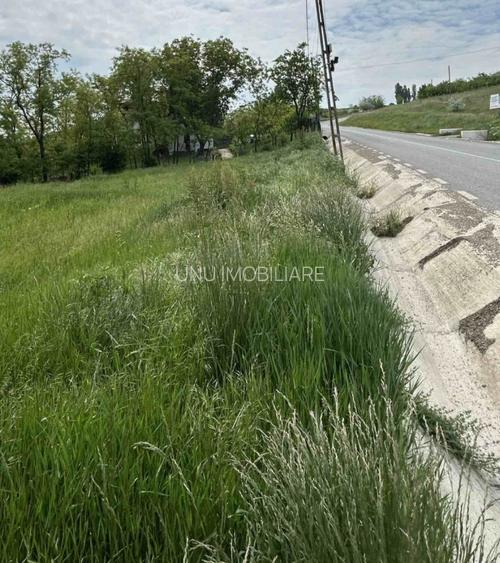 Teren intravilan Banu de 834 mp cu panoramă deosebită spre E85 - 3