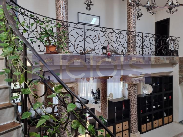 INCHIRIERE SPATIU COMERCIAL-2 VILE | ZONA MOGOSOAIA - 58