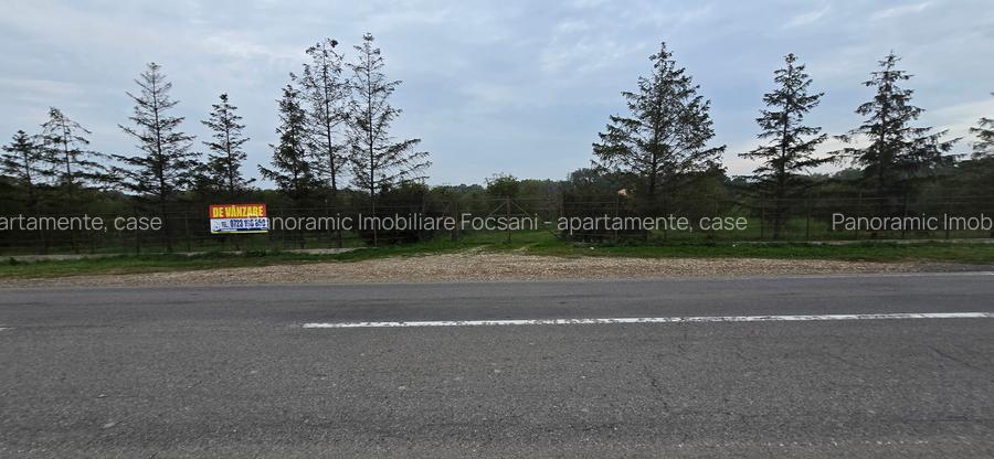 LIVADA  DE VANZARE FOCSANI-DUMBRAVITA  1,8  HA - 34