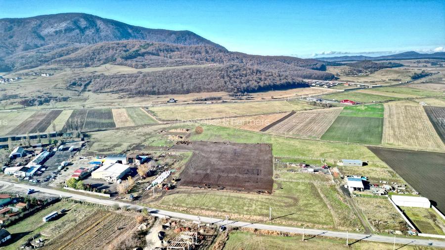 Teren Industrial cu P.U.Z. - 10