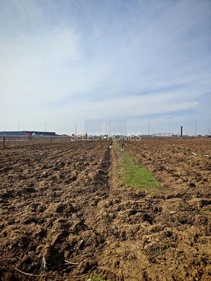 Teren de Vanzare Industrial Caciulati A3 - 6