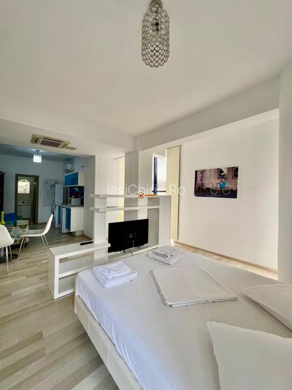 Apartament 1 camera Copou-Universitate - 10