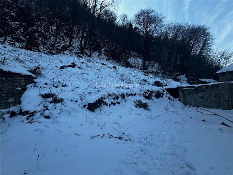 Teren Intravilan Dobrogeanu Gherea - 9